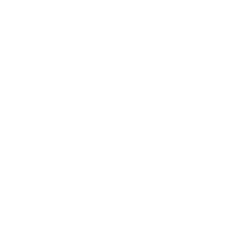 geolocation icon